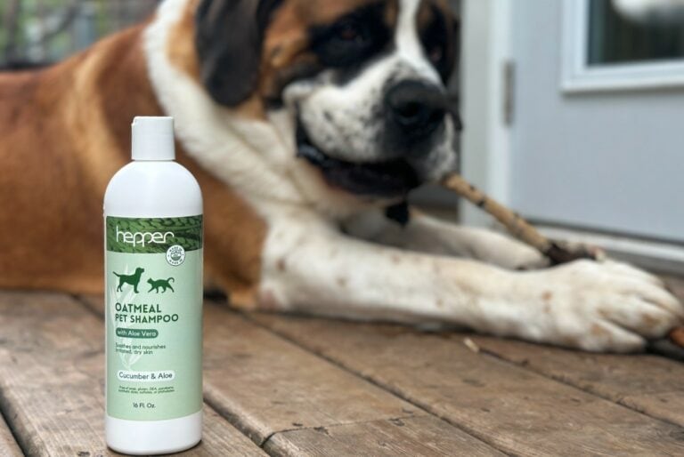10 Best Dog Shampoos for Dander 2024 Reviews & Top Picks Hepper