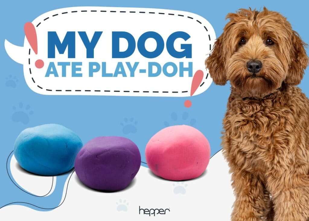 My Dog Ate Play-Doh
