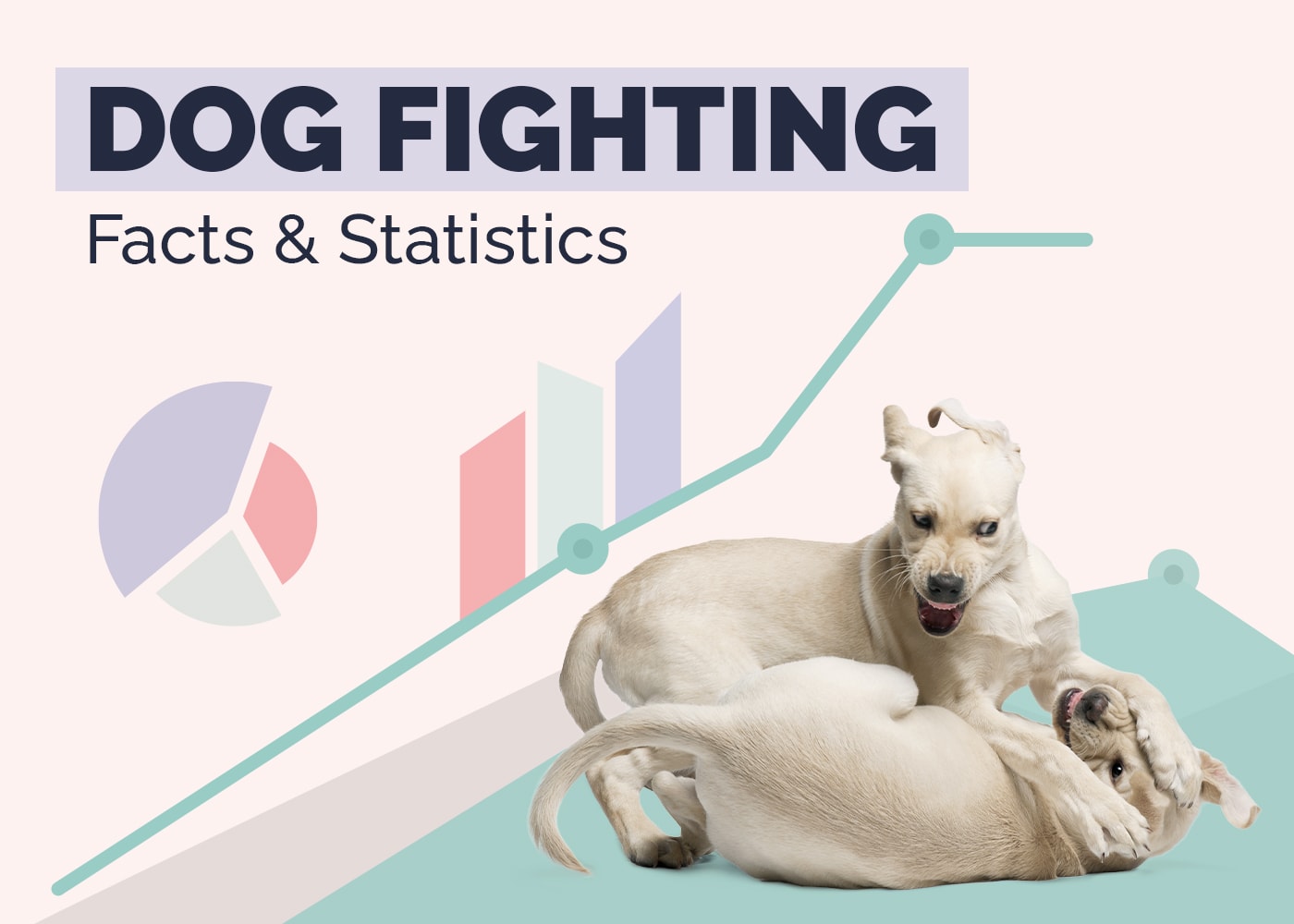 Dog Fighting Statistics