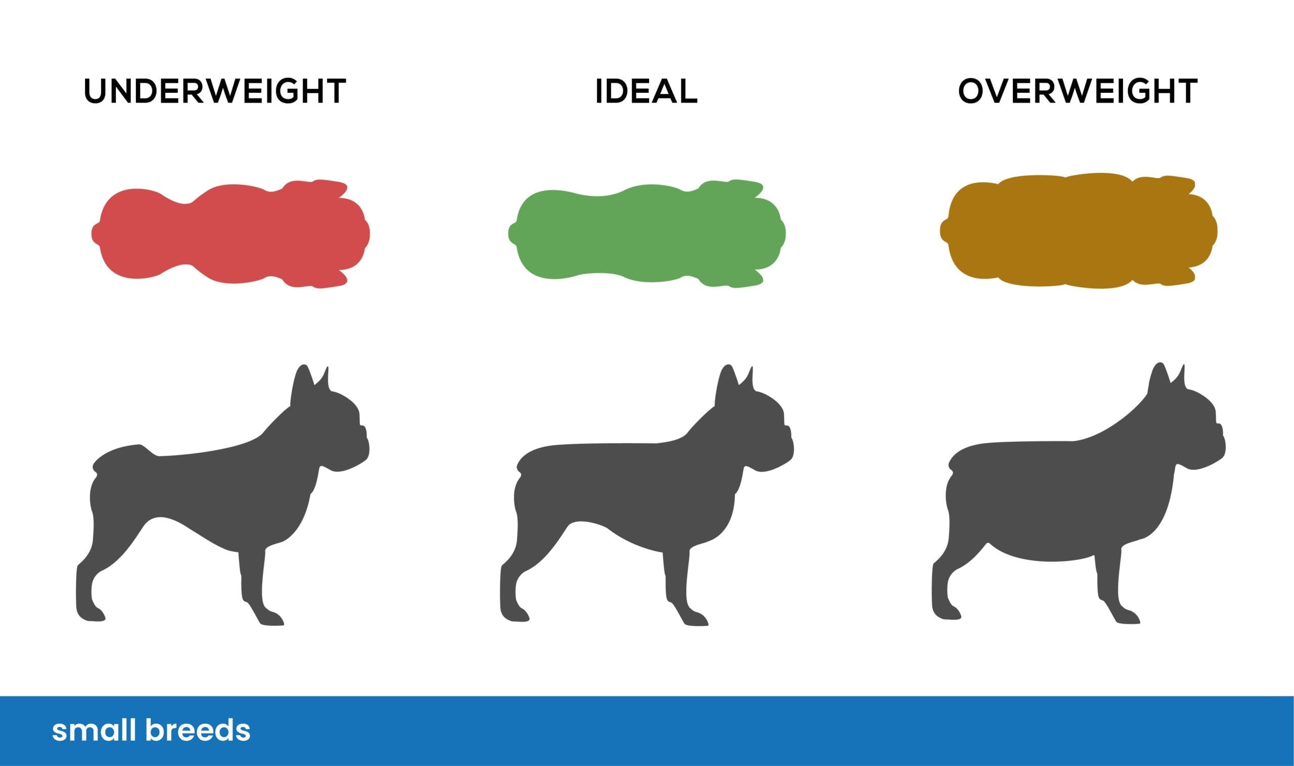 How Much Should A 8 Week Old Pug Puppy Weigh