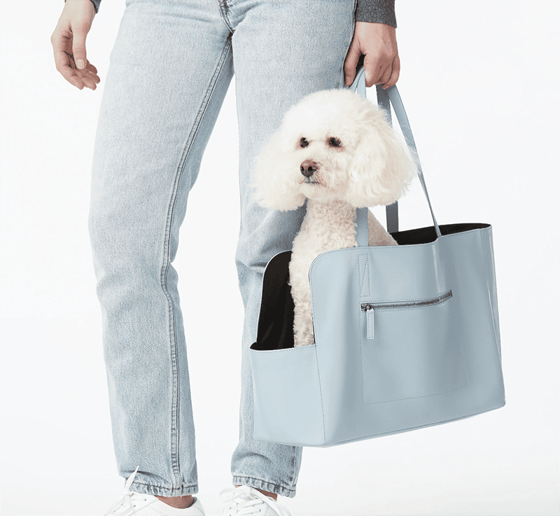11 Best Designer Dog Carrier Bags & Purses (Brand Reviews 2024) Hepper