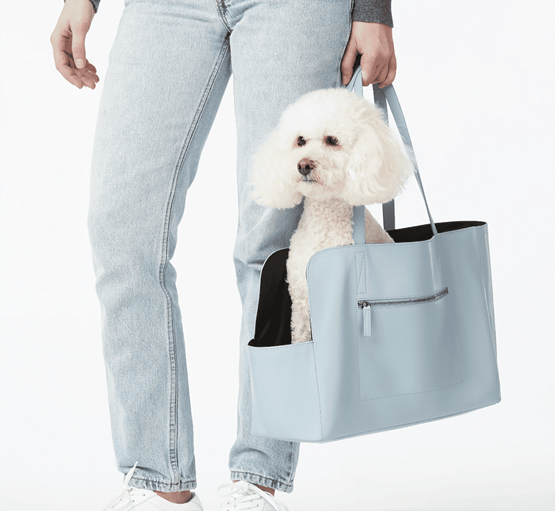 Louis Vuitton Dog Carrier 50 – Pursekelly – high quality designer Replica  bags online Shop!