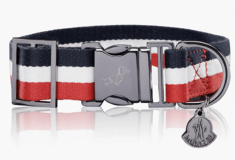 14 Luxury Dog Collars By High-End Brands That Might Surprise You