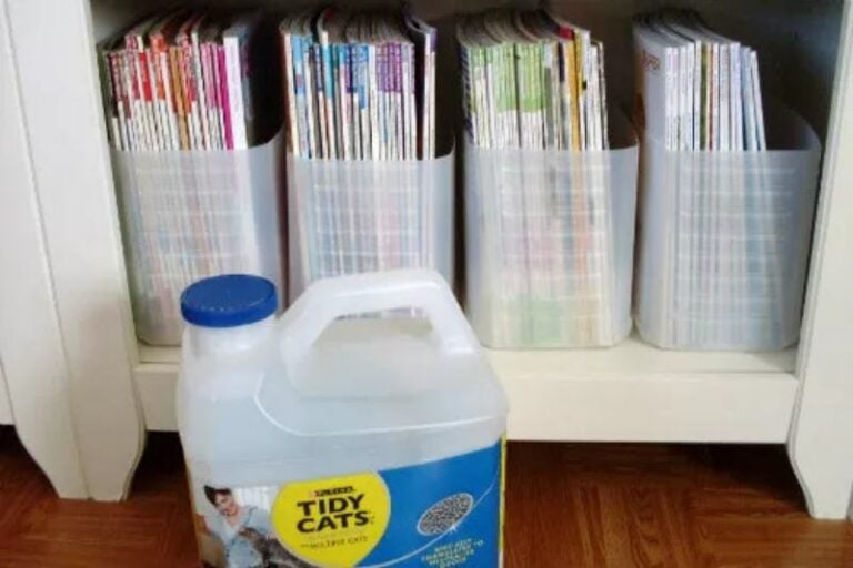 What to Do With Empty Cat Litter Jugs 11 Uses You Can Try Today Hepper
