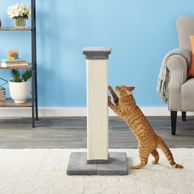 1Frisco 33.5-in Sisal Cat Scratching Post