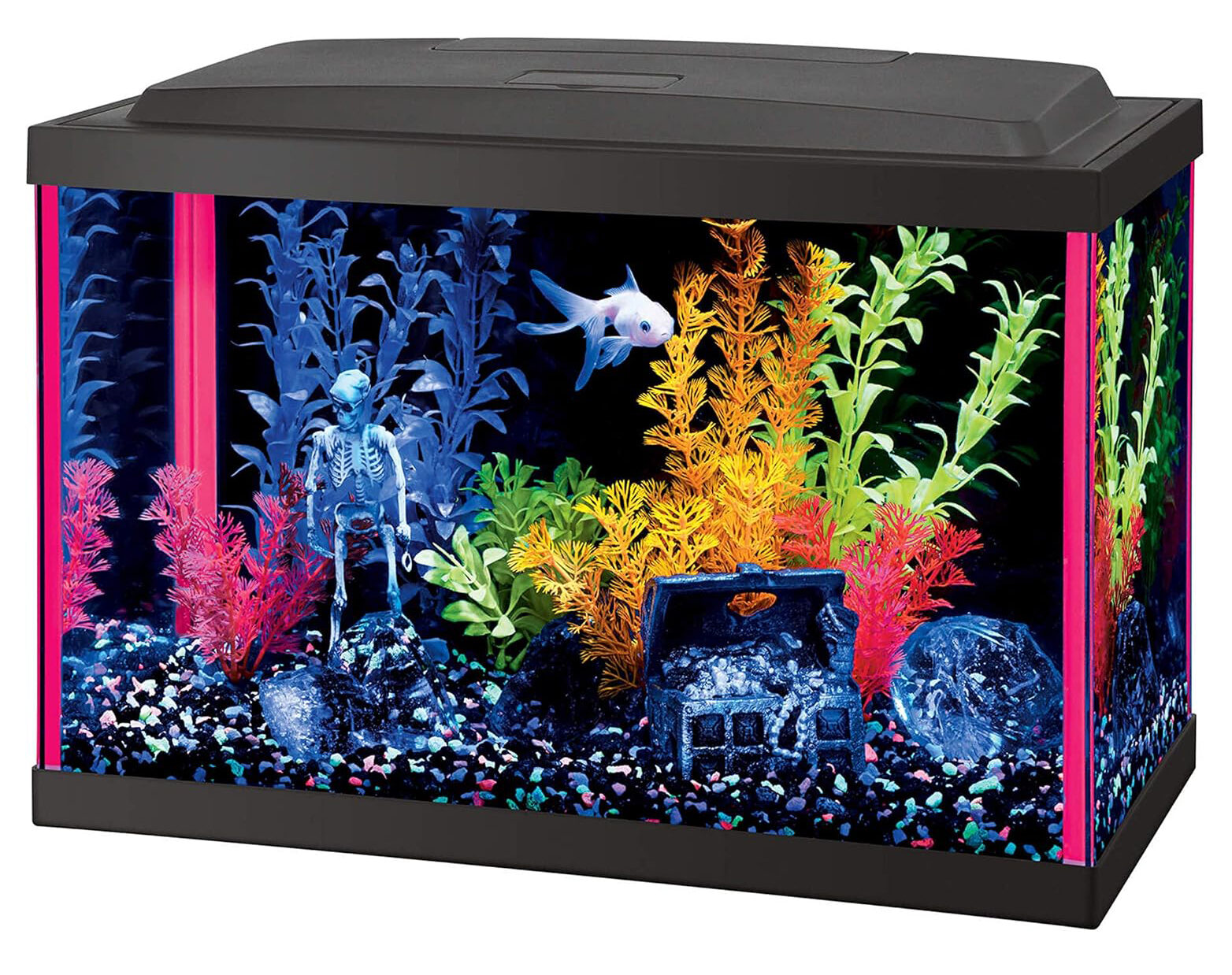 Aqueon Fish Aquarium Starter Kit LED NeoGlow