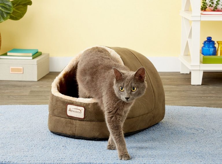 9 Best Covered & Enclosed Cat Beds in 2023 Reviews & Top Picks Hepper