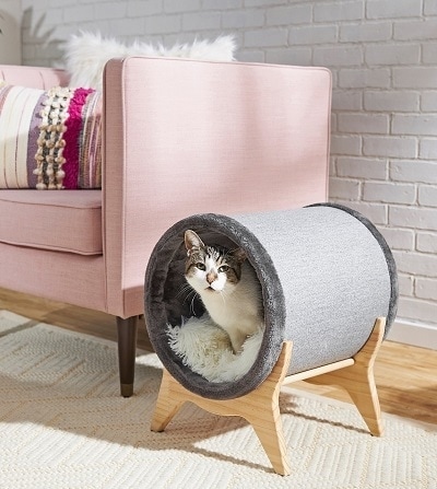 Frisco Modern Tunnel Elevated Cat Bed