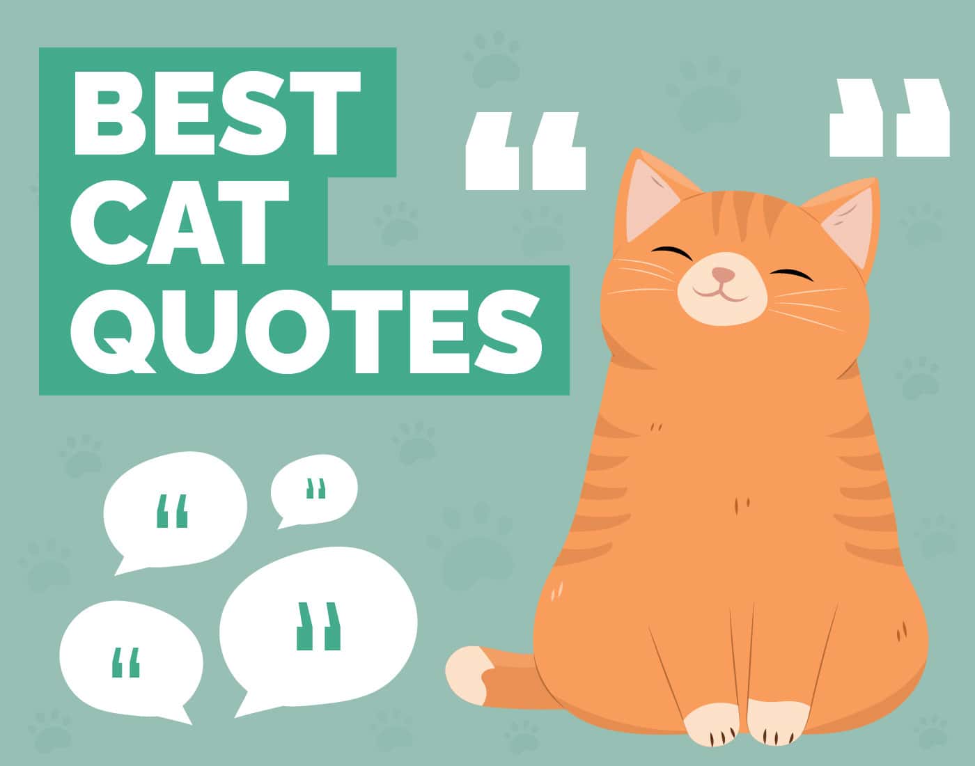 Hepper_Best Cat Quotes_Featured Image