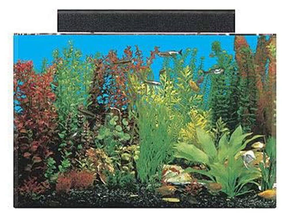 SeaClear 20 gal Acrylic Aquarium Combo Set