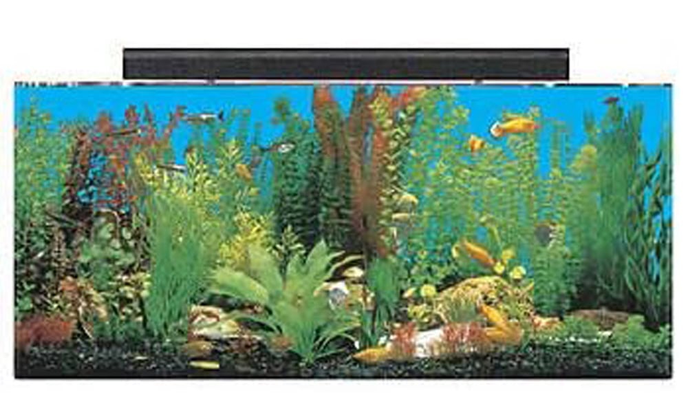 SeaClear 30 gal Show Acrylic Aquarium Combo Set