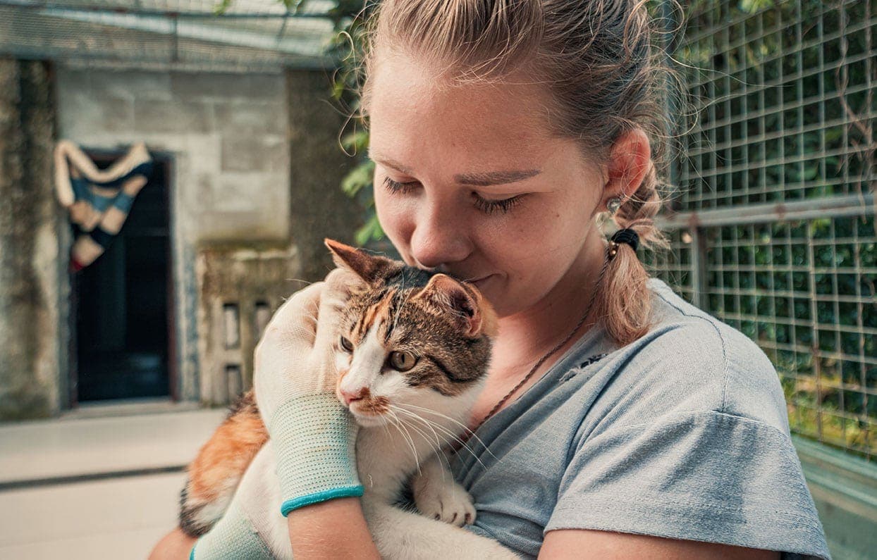 cat and female volunteer