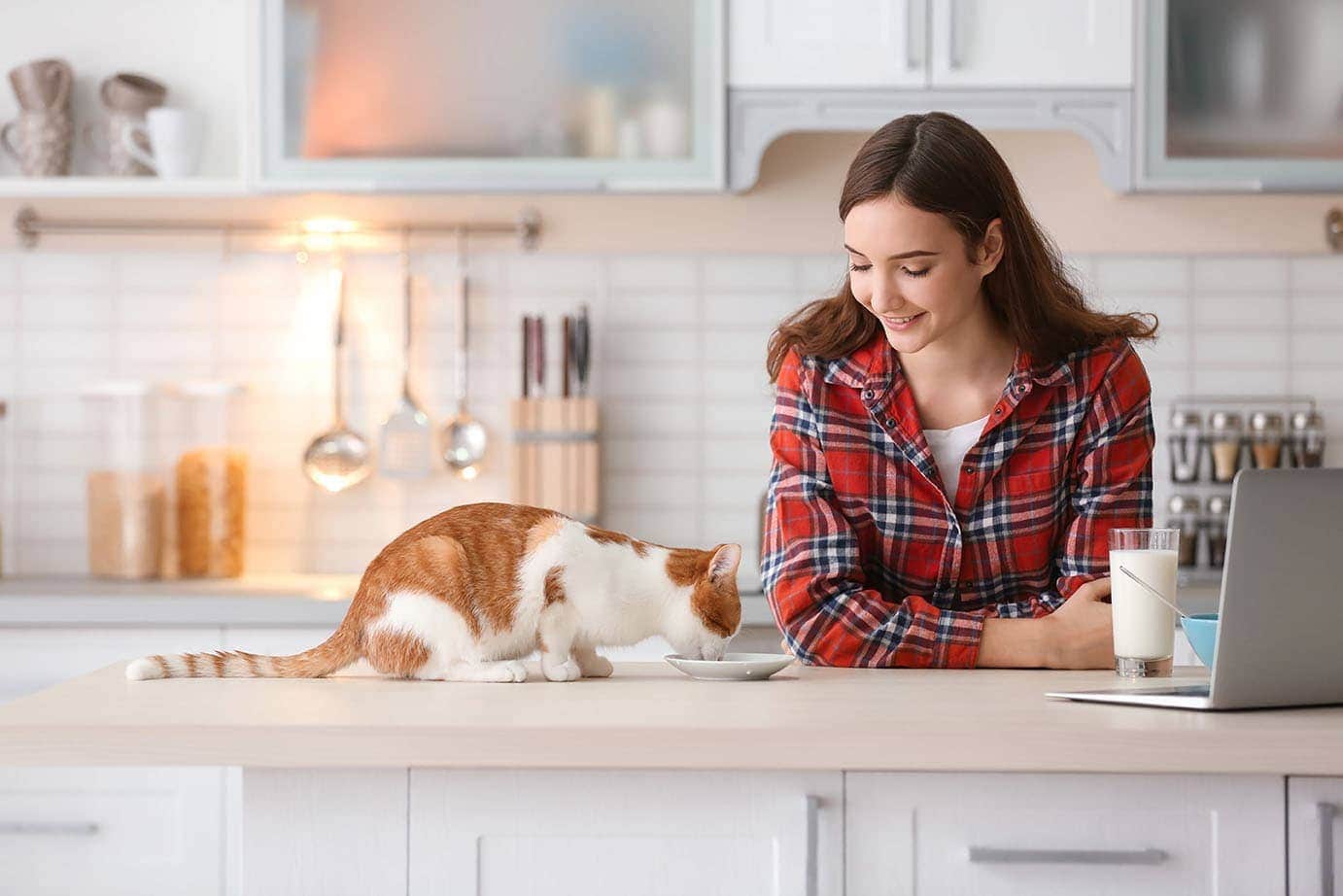 cat eating with teenager