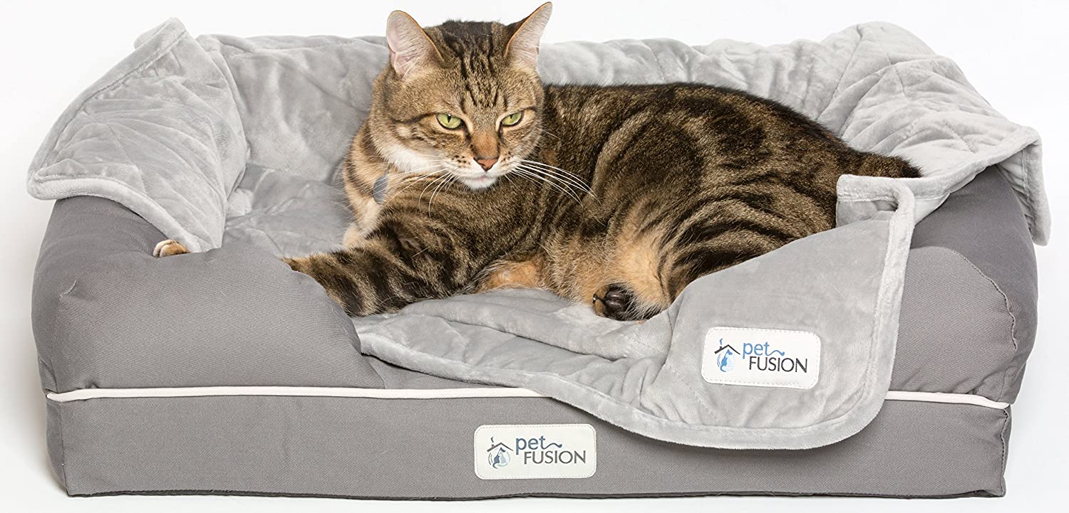cat in PetFusion Ultimate Orthopedic Cat Bed
