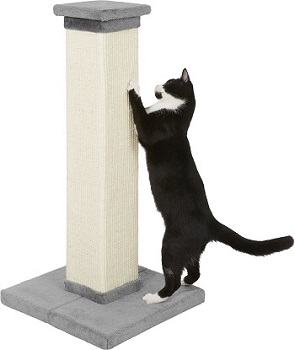 a scratching post