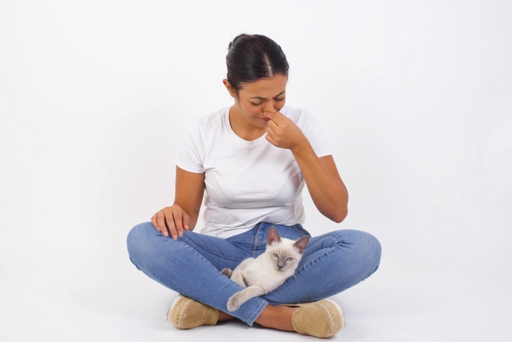 cat smelly
