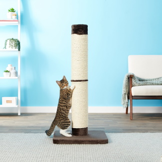 featured image cat post