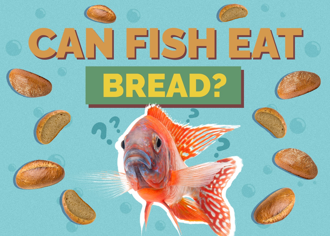 fish-bread