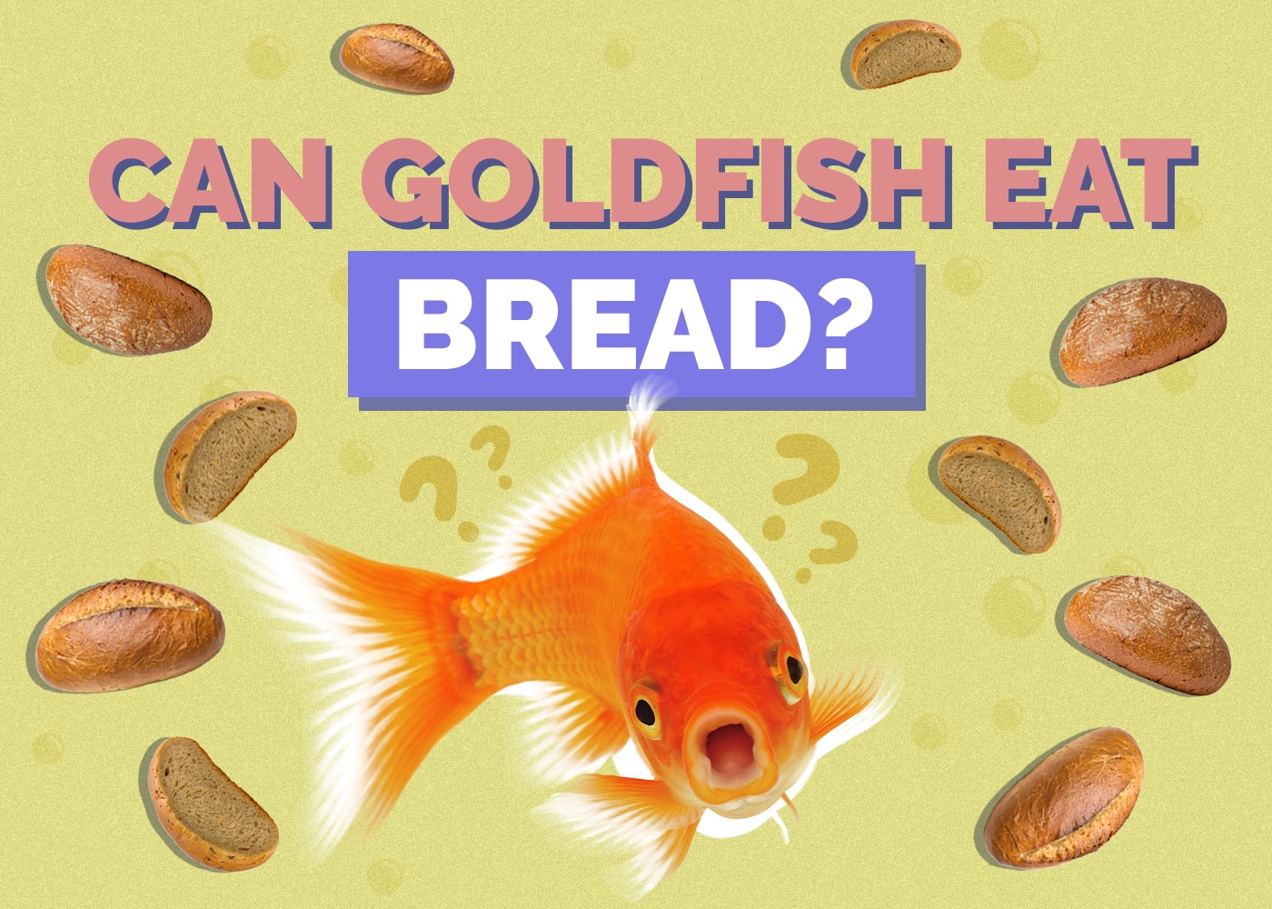 goldfish-bread