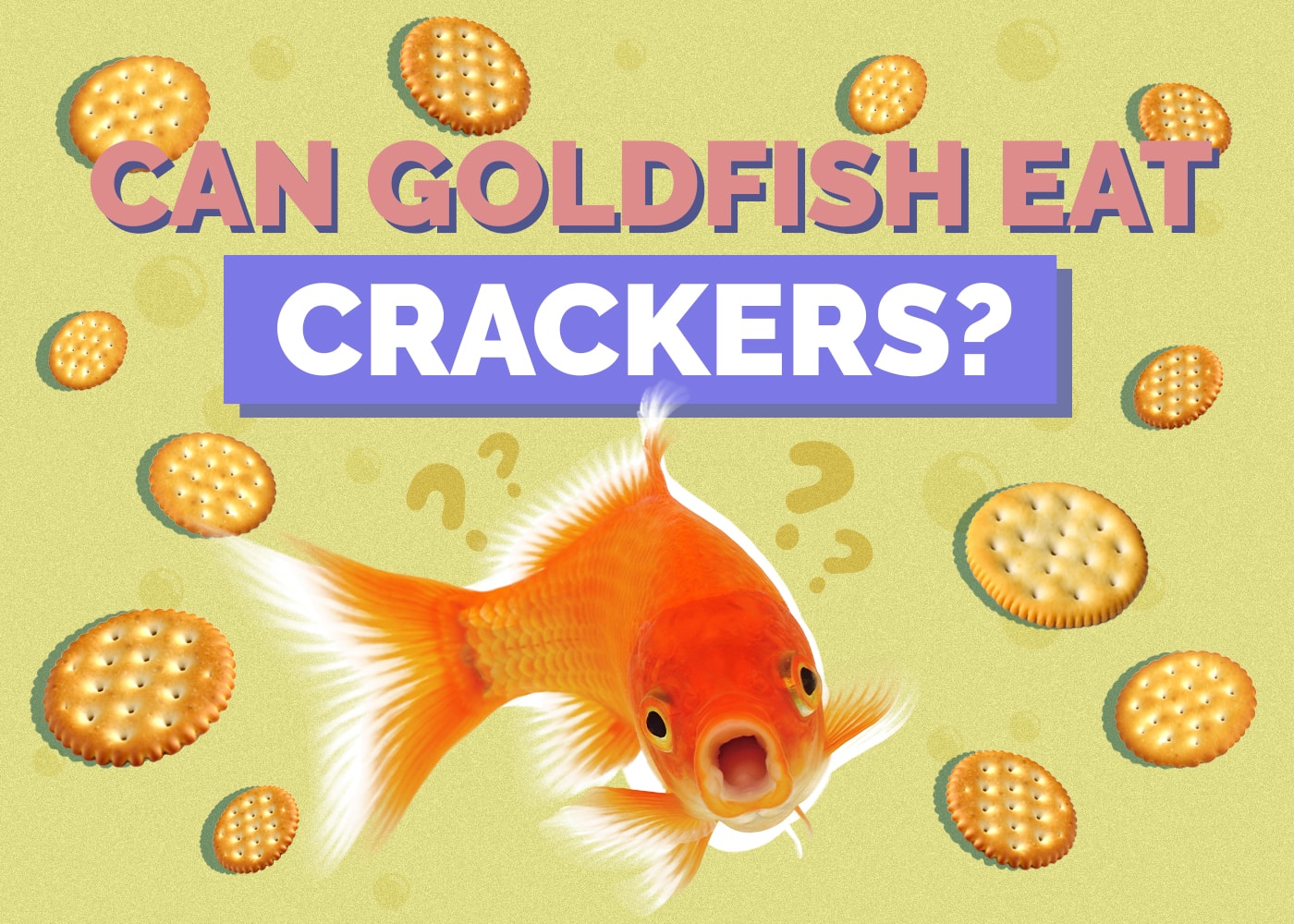 goldfish-crackers