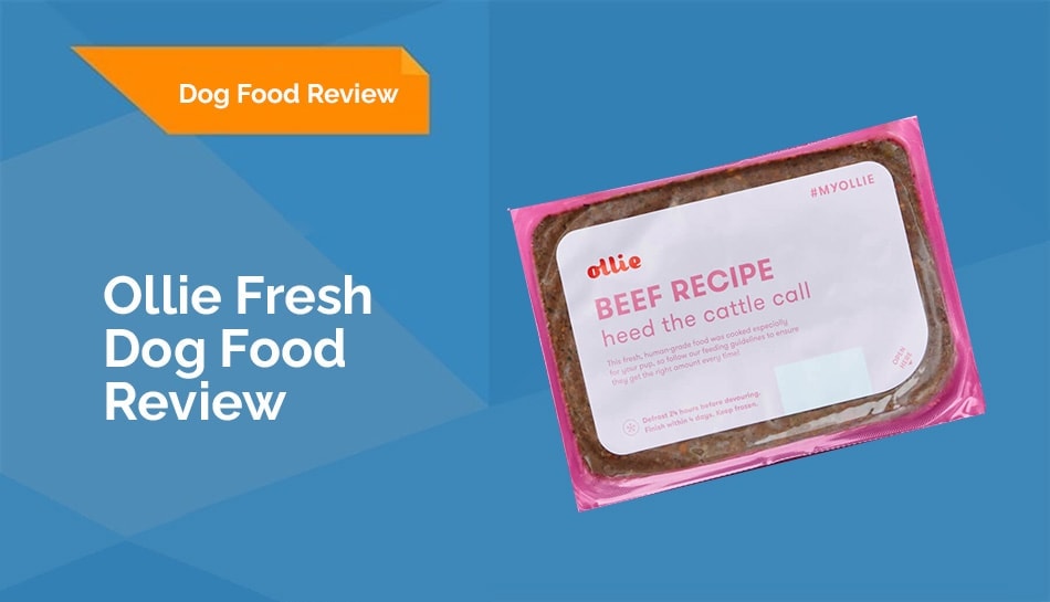 olliefresh dog food review header