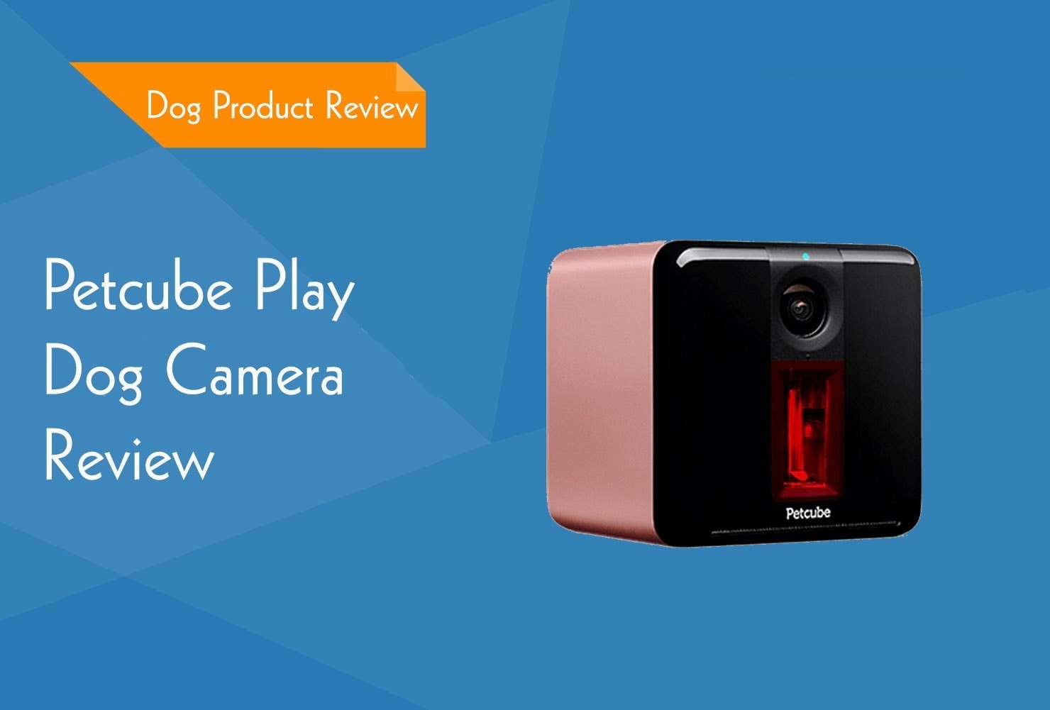 pet cube play camera review 2