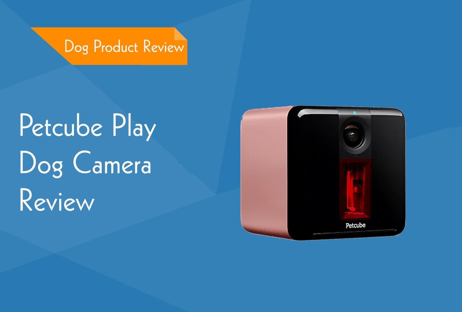 Petcube clearance play camera