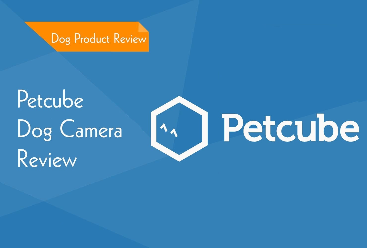 pet cube review 2