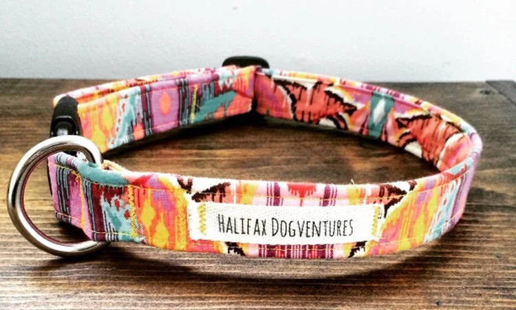 DIY dog collar