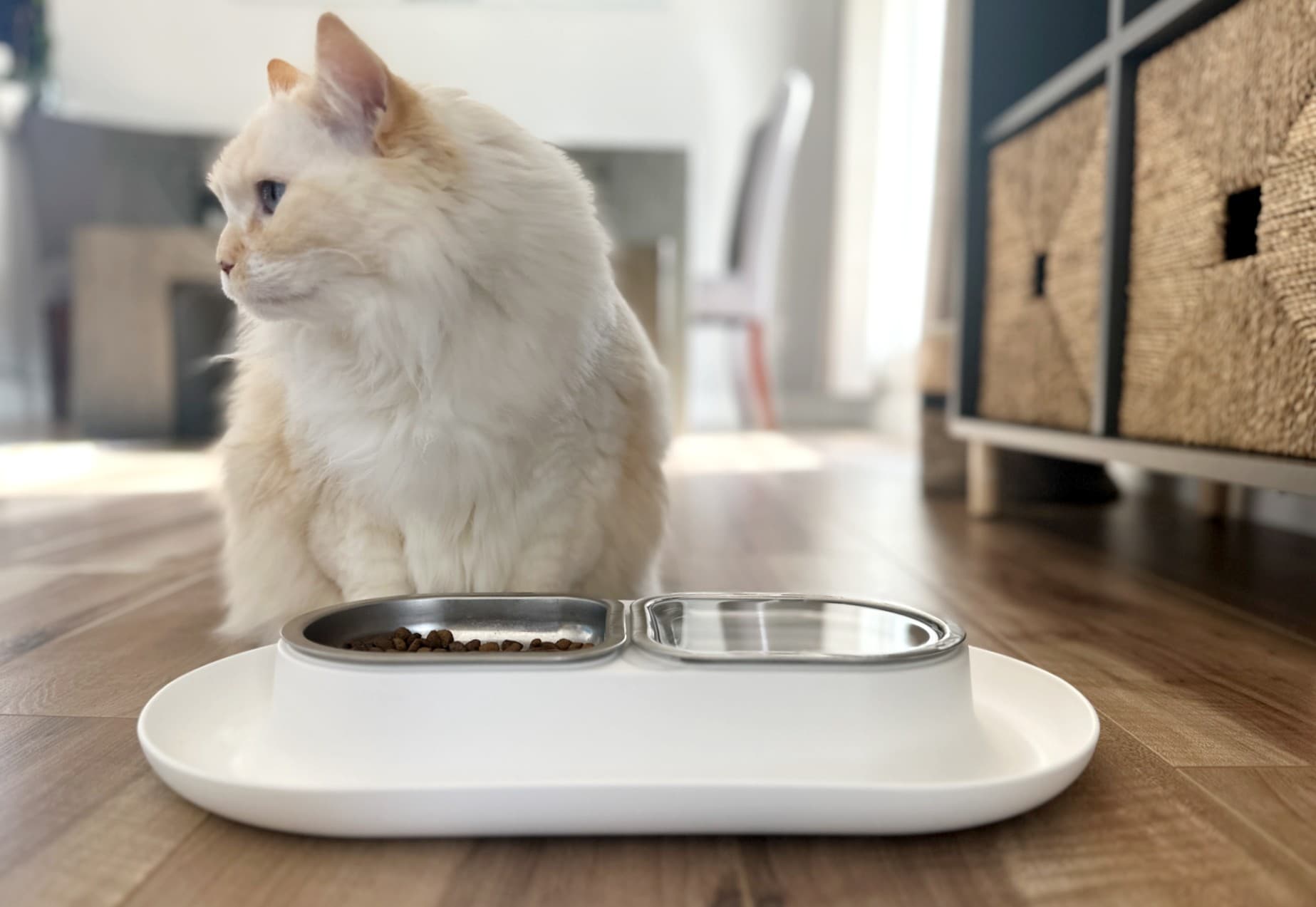 Hepper NomNom Cat Bowl with white Cat 2