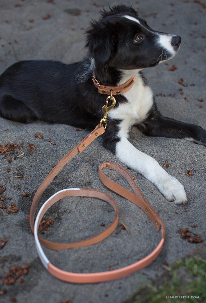 Braided Leather Dog Leash DIY  Learn how to braid a leather dog