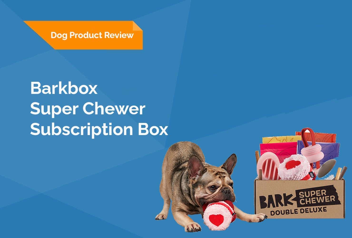 big chewer barkbox