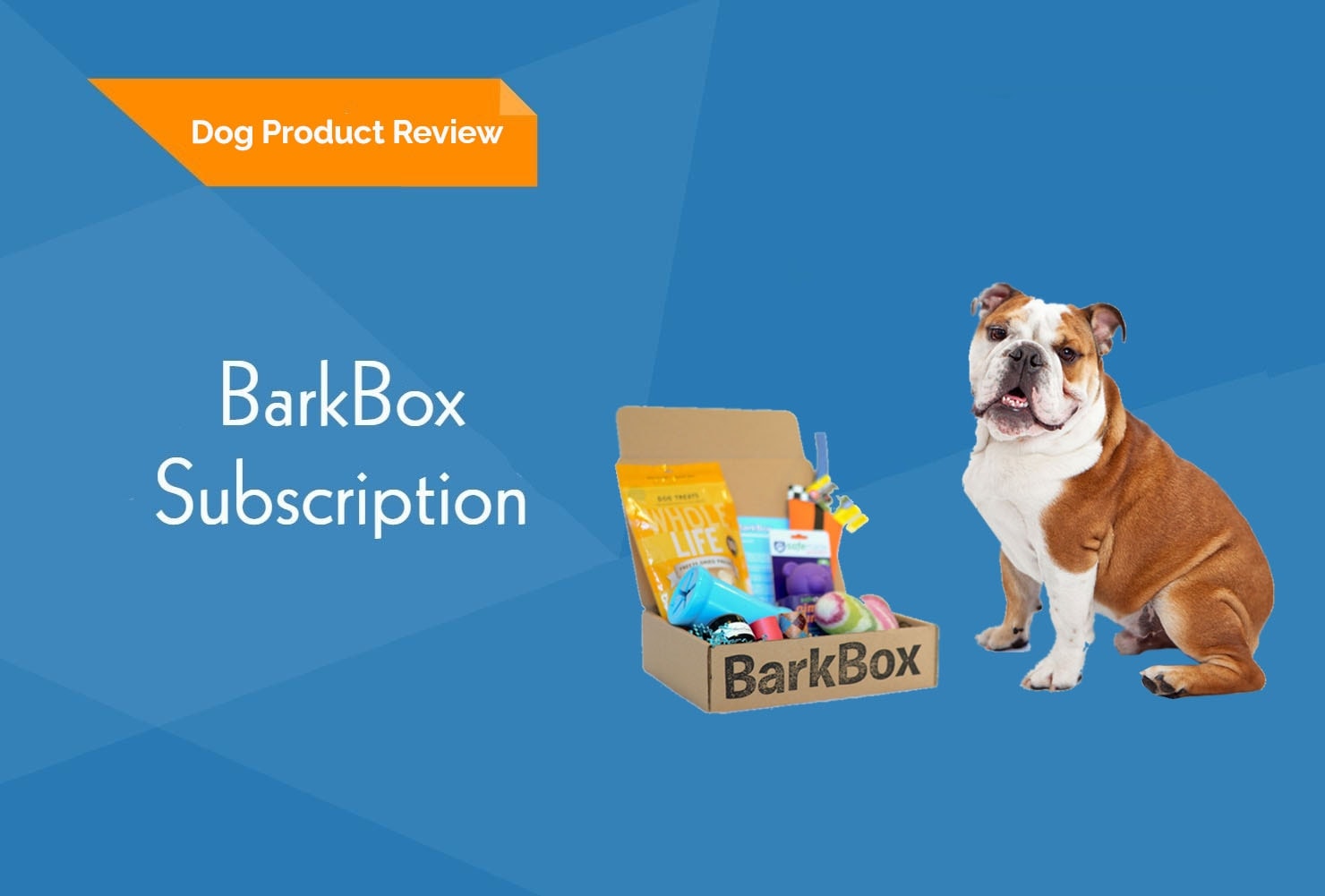 barkbox-subscription-review3