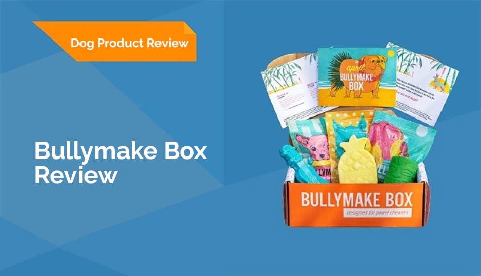 bullmake box review header 2