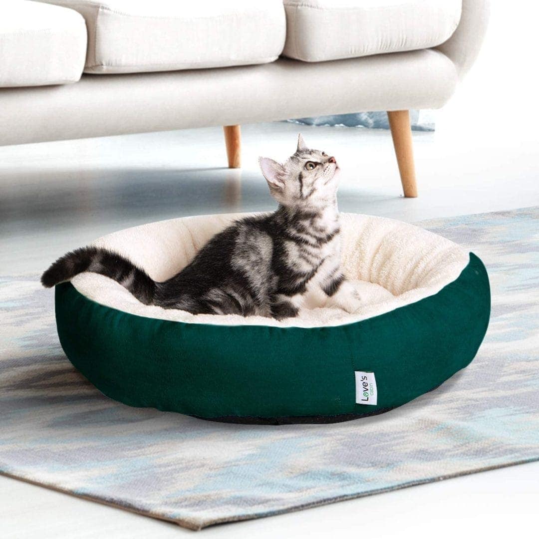 best cat beds 2021