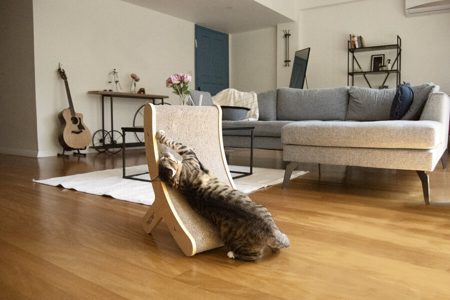 cat in living room playing with hepper hi-lo cat scratcher while in highest position