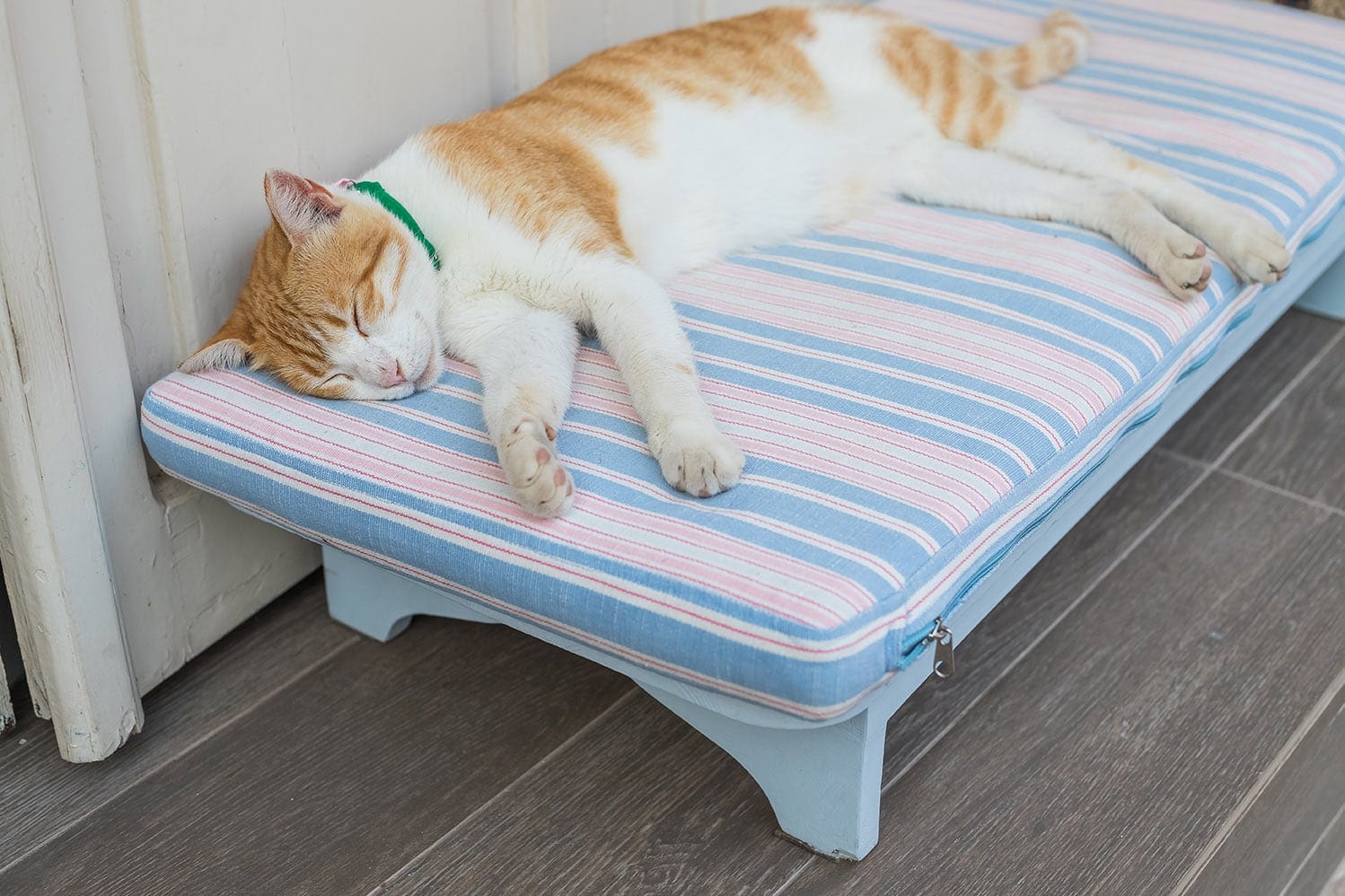 cat sleeping in bed outdoor_Yulia YasPe, Shutterstock