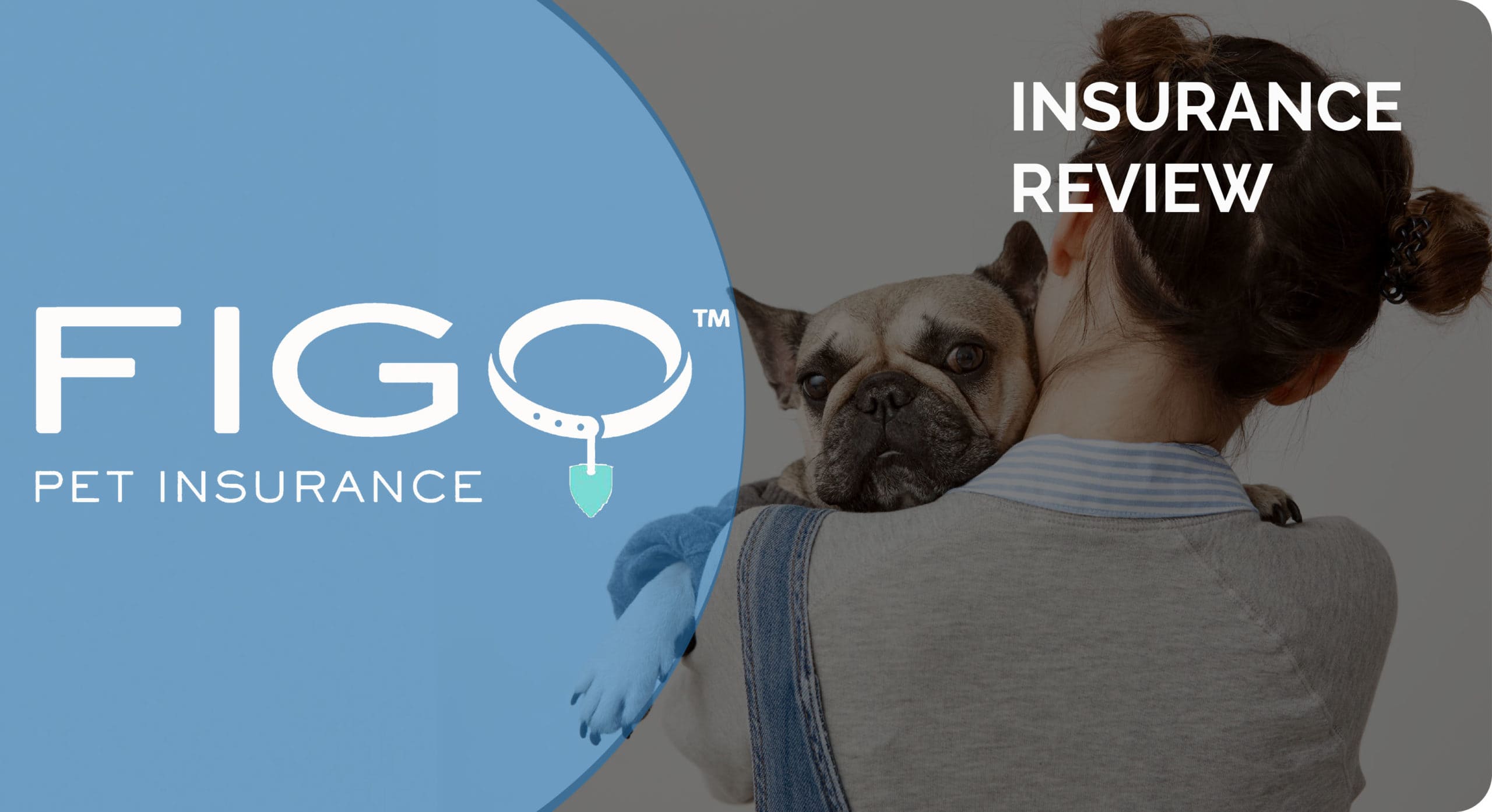 figo pet insurance