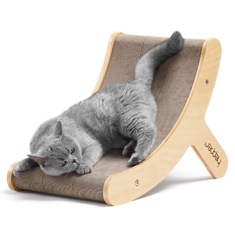 9 Best Toys For Blind Cats In 2024