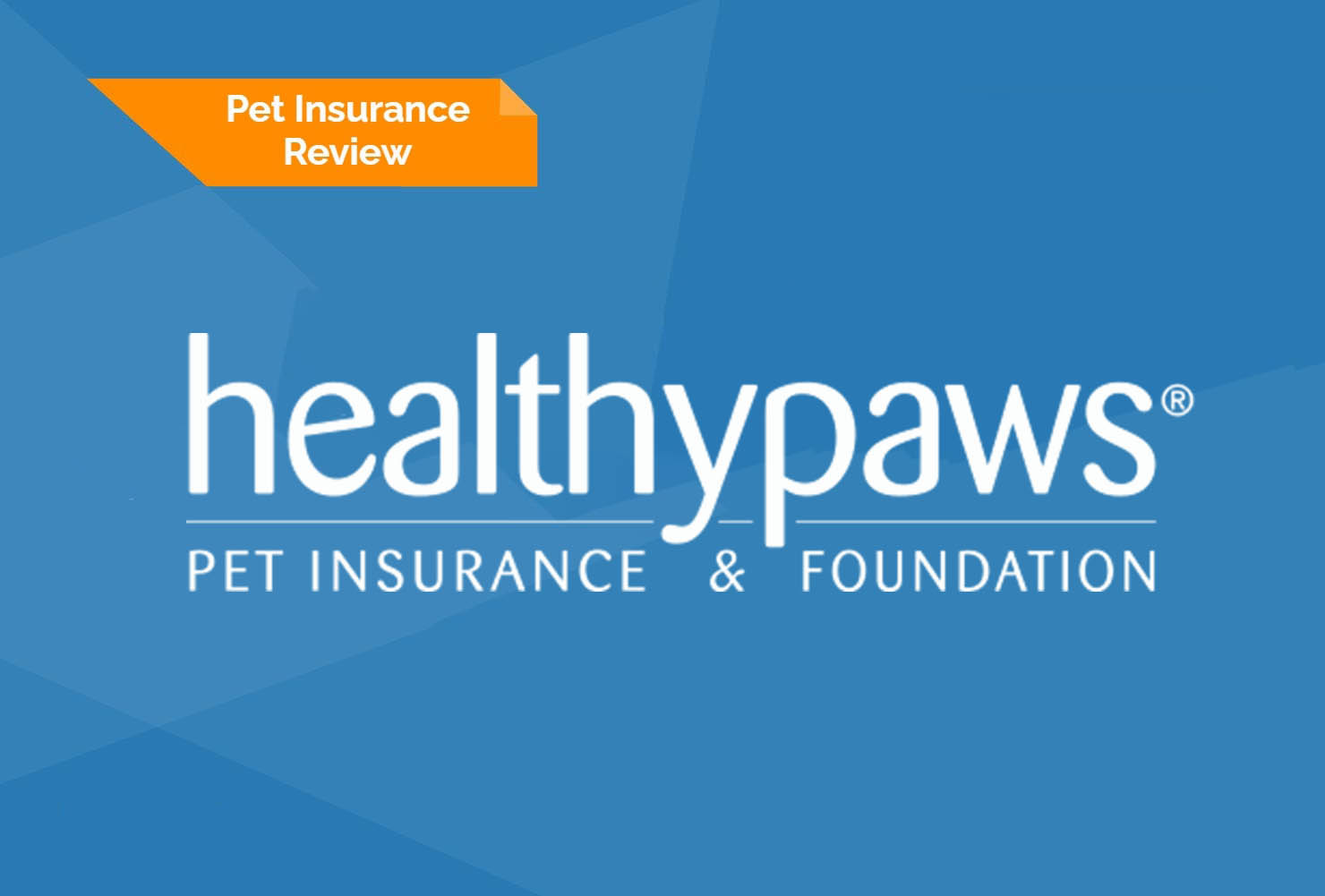healthy paws featured image