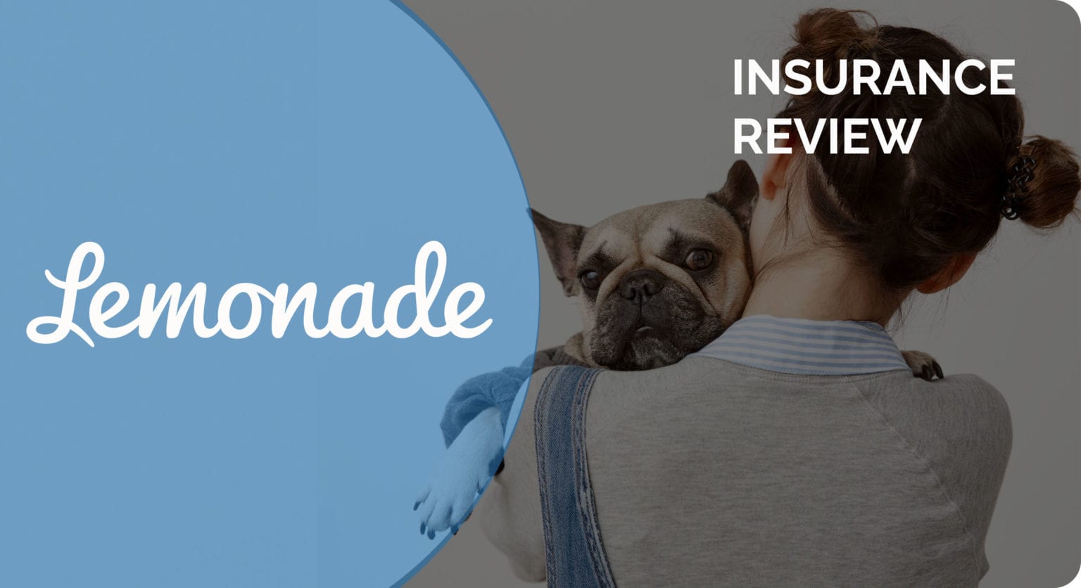Lemonade Pet Insurance Review 2024 Pros, Cons & Verdict Hepper