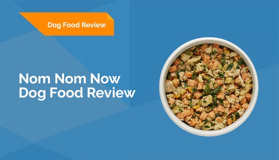 Nom Nom Dog Food Review 2022: is it Worth it? - Black Cat White Dog NEWS