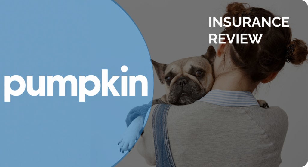 pumpkin review
