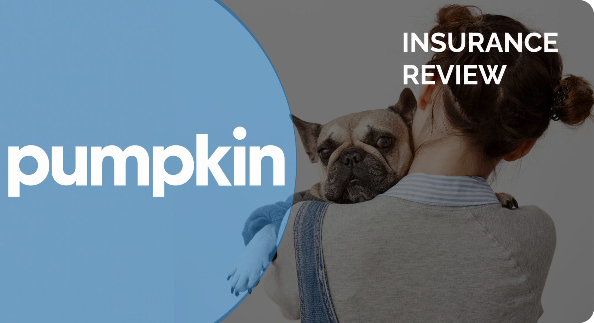 Pumpkin Pet Insurance Review 2025 - Pros, Cons, & Verdict | Hepper