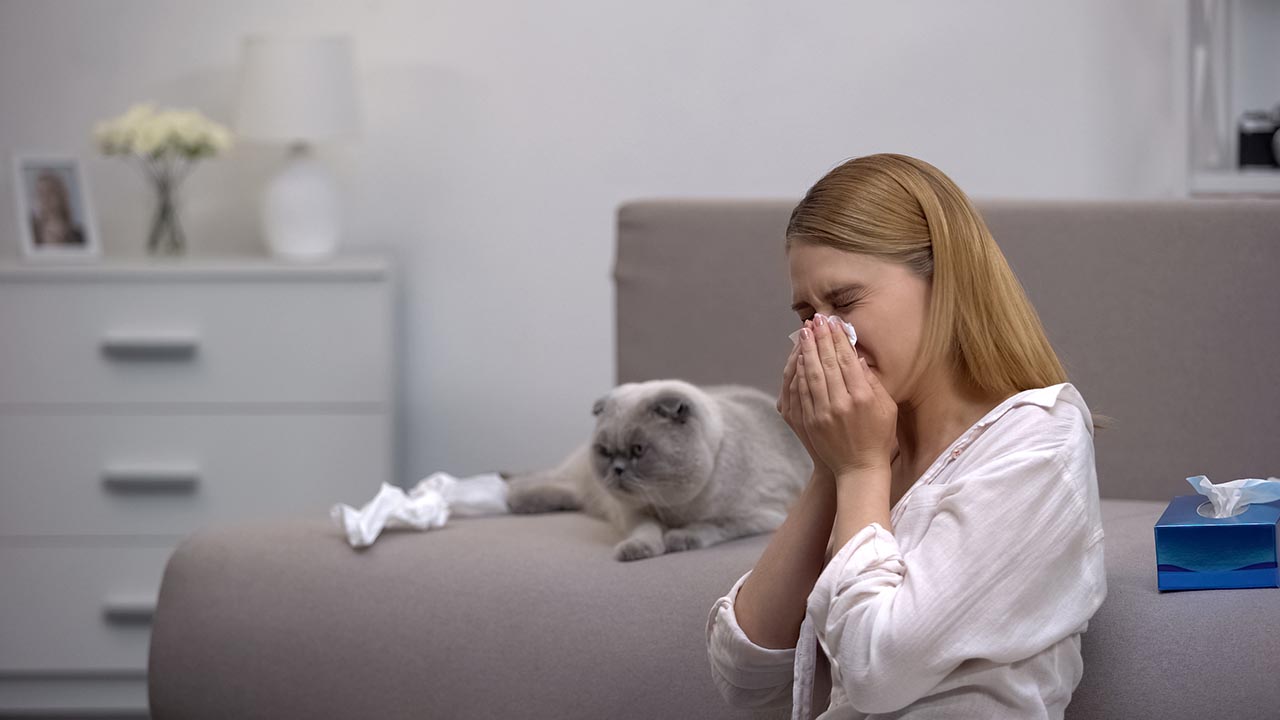 woman sneezing beside a cat