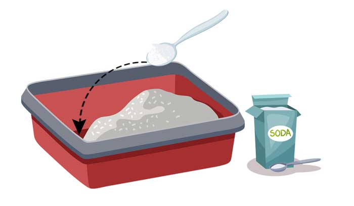 How To Clean A Litter Box With Vinegar 4 Simple Steps