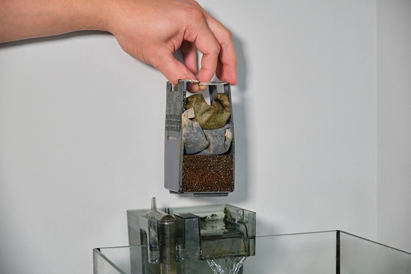 Close up of a hand disassembling a fish tank waterfall filter to clean it