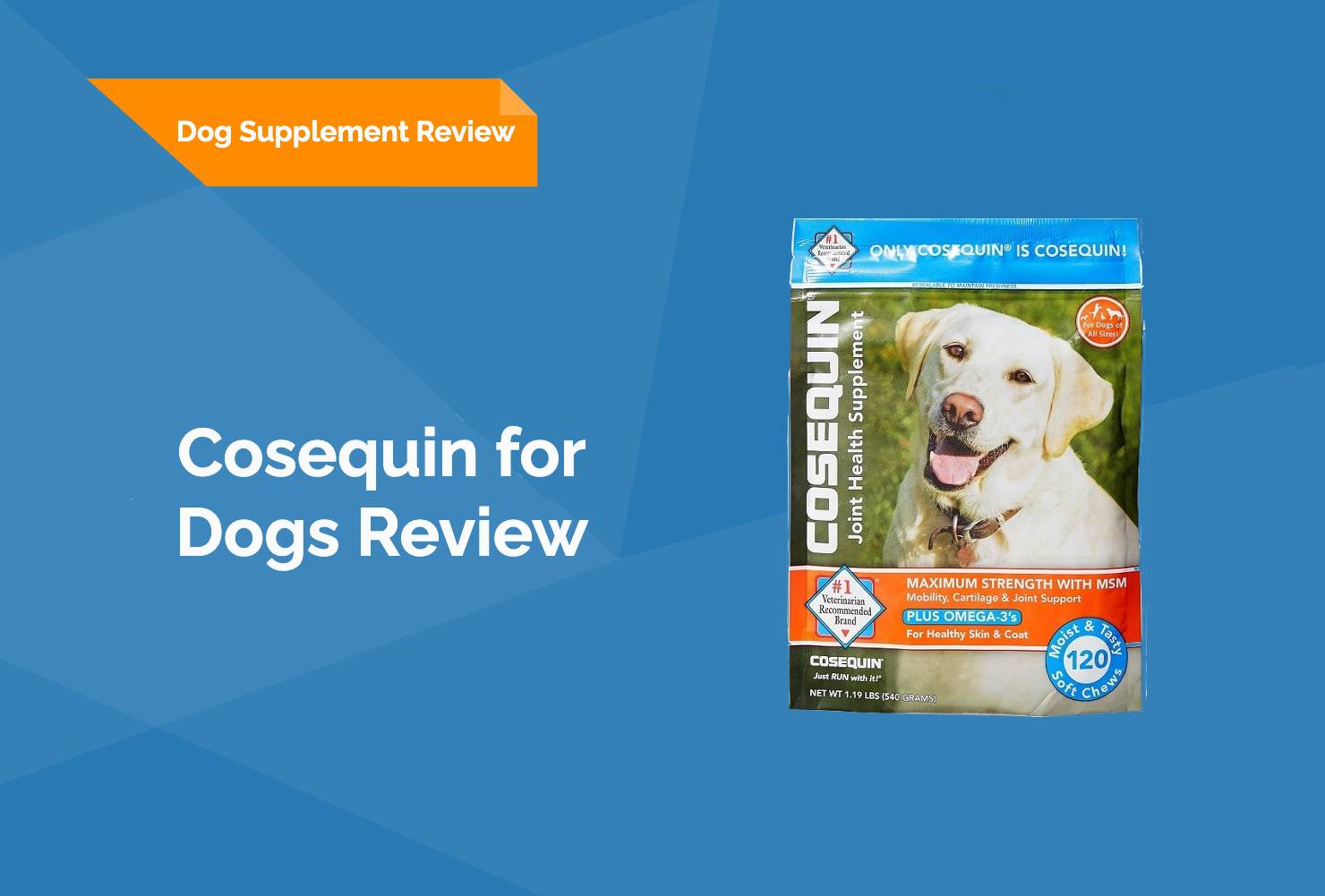 Cosequin for Dogs Review HEP Featured Image
