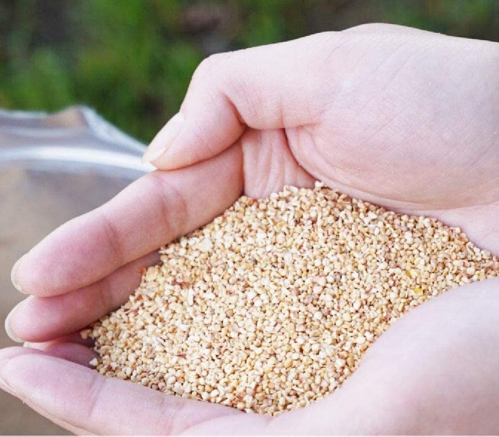 5 Best Natural Cat Litters in 2021 Organic & Biodegradable Hepper