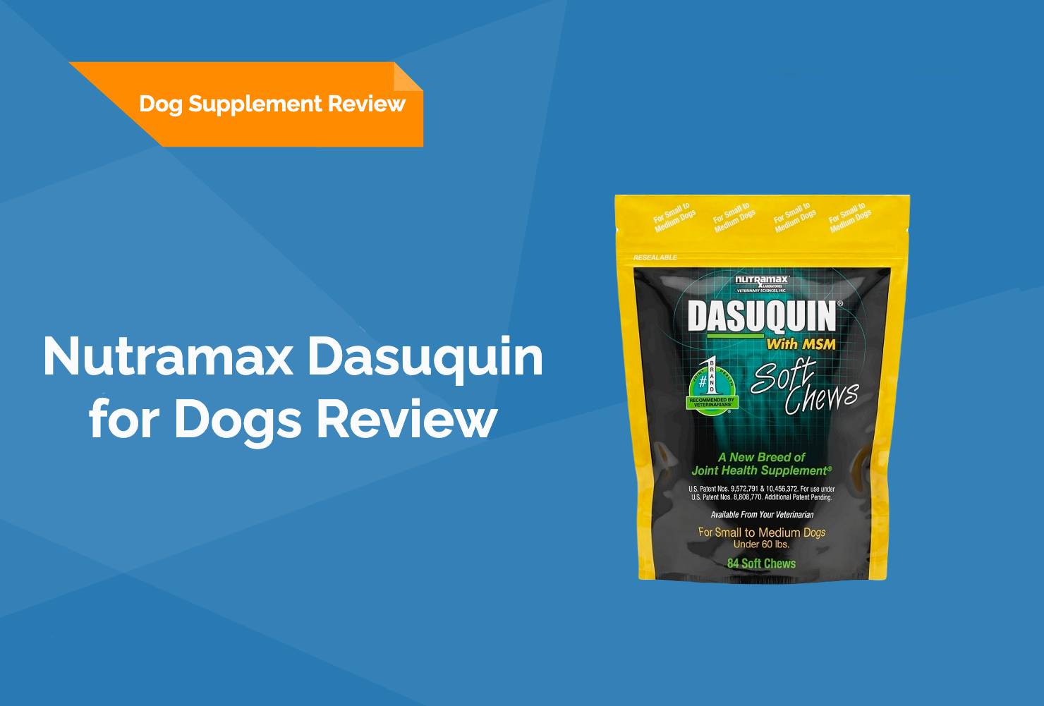 Nutramax Dasuquin for Dogs Review Featured Image